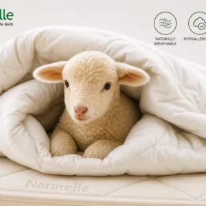 Pure Wool Baby Duvet Inners