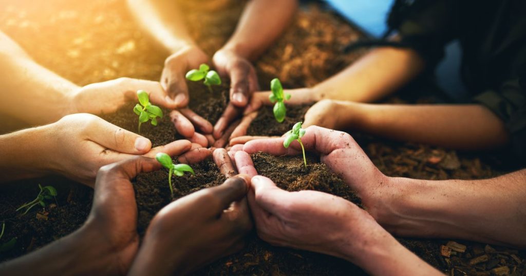 Children's hands touching soil.