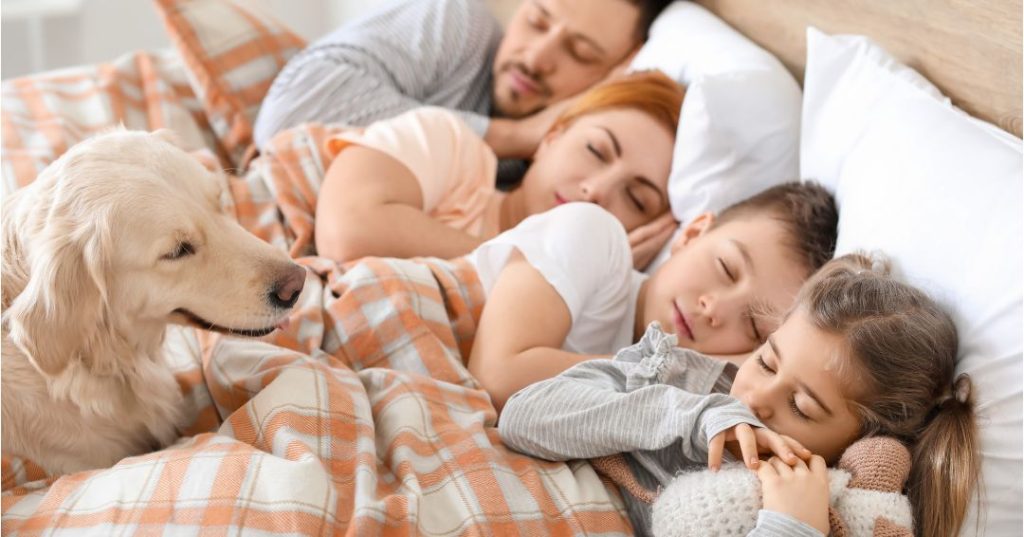 Family of four and their dog napping in bed
